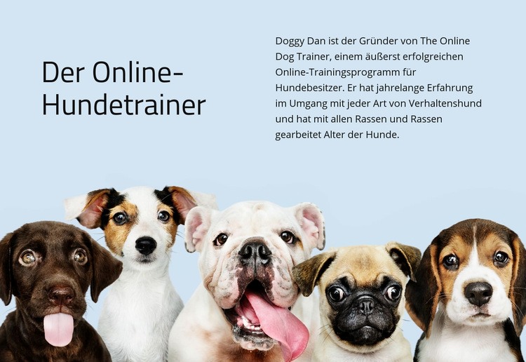 Online Hundetrainer Eine Seitenvorlage