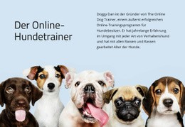 Online Hundetrainer