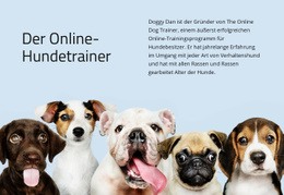 Layout-Funktionalität Für Online Hundetrainer
