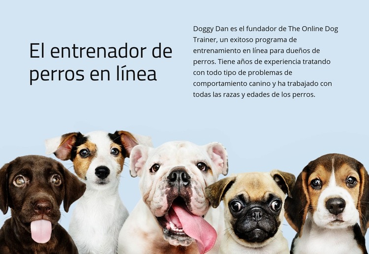 Entrenador de perros online Maqueta de sitio web