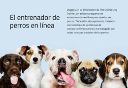 Entrenador De Perros Online Plantilla Premium