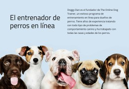 Entrenador De Perros Online - Plantilla Responsiva De Una Página