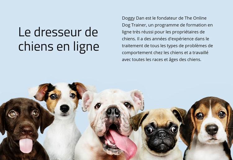 Dresseur de chiens en ligne Conception de site Web