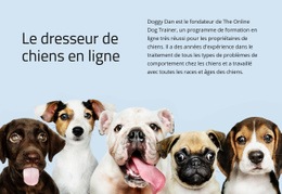 Dresseur De Chiens En Ligne - Outil De Création De Sites Web