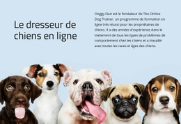 Dresseur De Chiens En Ligne Modèle Premium