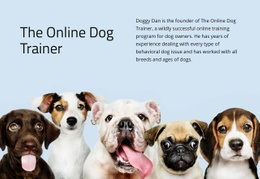 Online Dog Trainer - Html Code Block