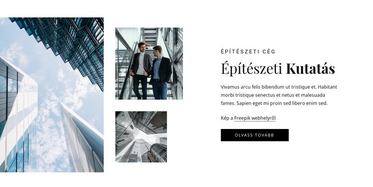 Építészeti kutatás HTML Sablon