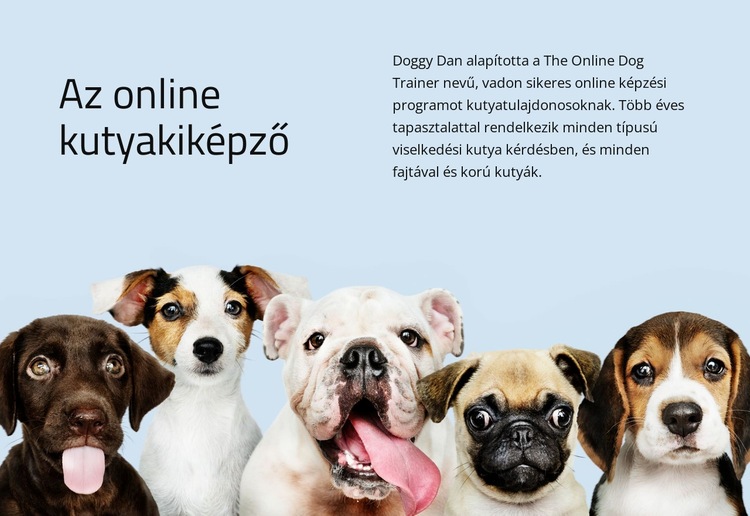 Online kutyakiképző HTML Sablon