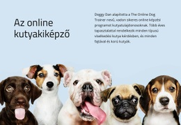 Online Kutyakiképző – Prémium Sablon