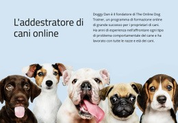 Il Miglior Design Del Sito Web Per Addestratore Di Cani Online