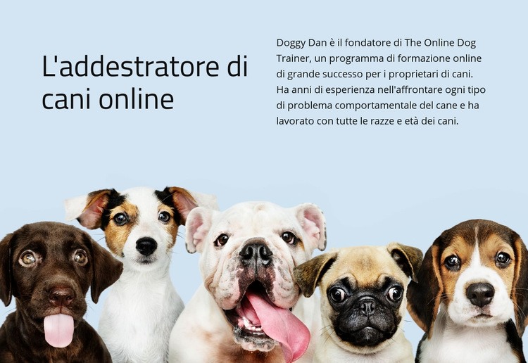 Addestratore di cani online Un modello di pagina