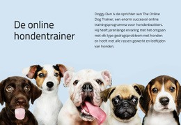 Lay-Outfunctionaliteit Voor Online Hondentrainer