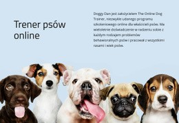 Trener Psów Online - HTML File Creator