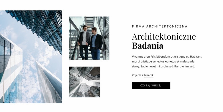 Badania architektoniczne Makieta strony internetowej