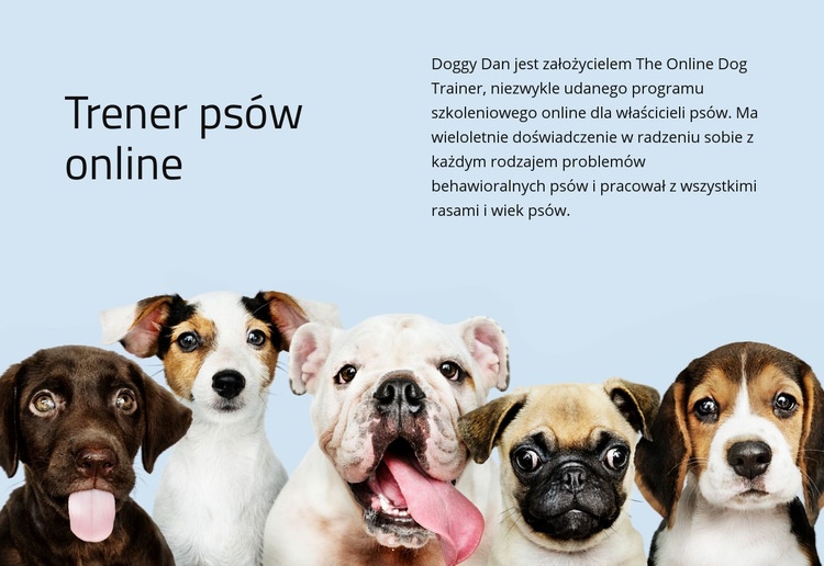 Trener psów online Projekt strony internetowej