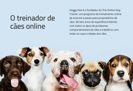 Treinador De Cães Online - Maquete De Wireframes