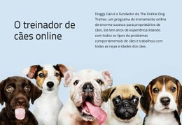 Treinador De Cães Online Modelos De Site Responsivos