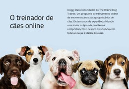 Treinador De Cães Online - Modelo HTML5 Criativo Multiuso