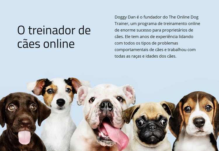 Treinador de cães online Modelo de uma página