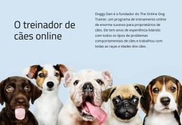 Site WordPress Para Treinador De Cães Online