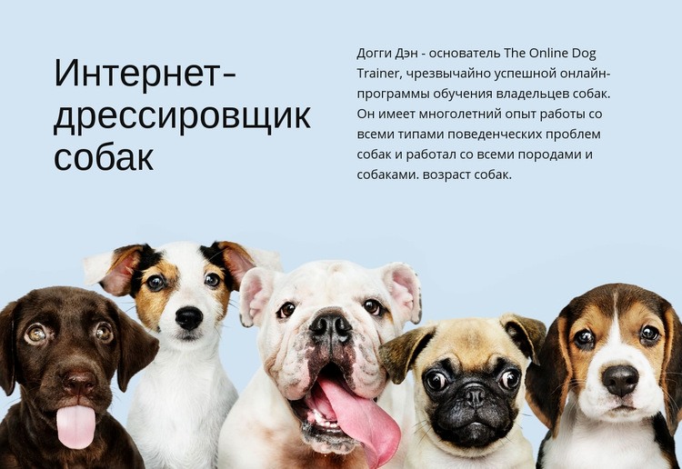 Интернет-дрессировщик собак Конструктор сайтов HTML