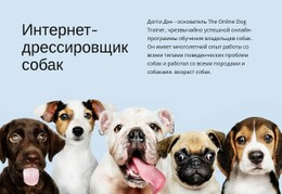 Интернет-Дрессировщик Собак – Адаптивный Шаблон HTML5