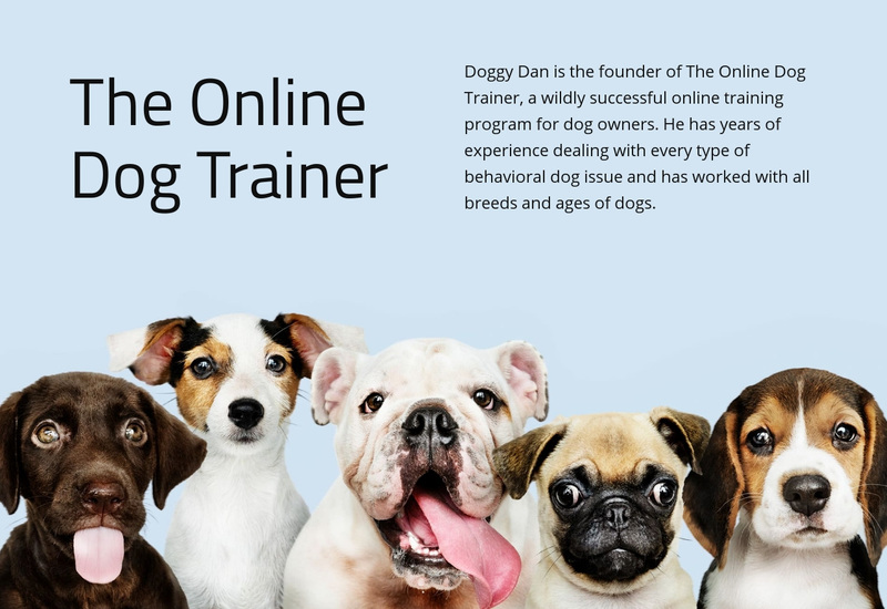 Online dog trainer  Squarespace Template Alternative
