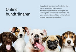 Hundtränare Online Premiummall