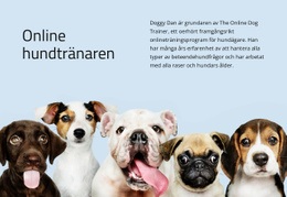 Hundtränare Online - Premium Elements Mall