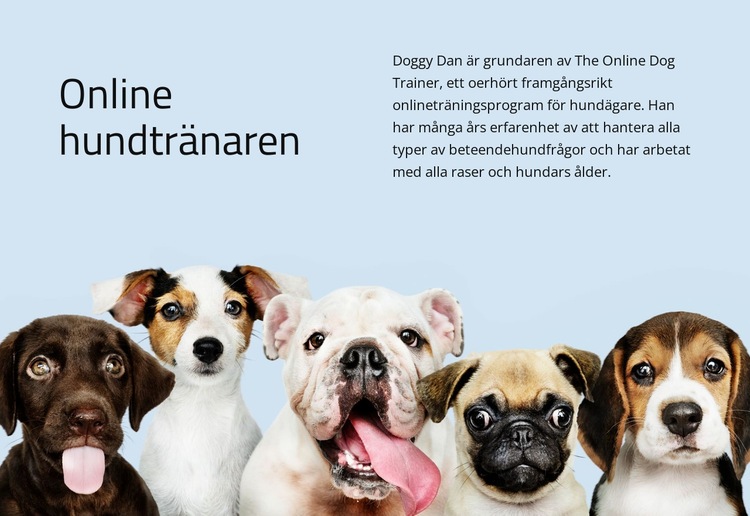 Hundtränare online WordPress -tema