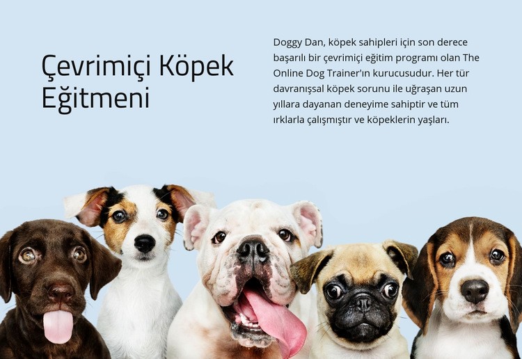 Çevrimiçi köpek eğitmeni Açılış sayfası