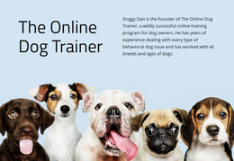 Online Dog Trainer - Web Page Design For Inspiration