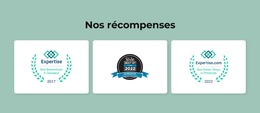 Disposition Du Site Web Pour Récompenses Du Salon De Coiffure