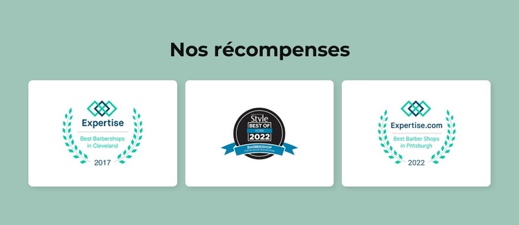 Récompenses du salon de coiffure Modèle de site Web