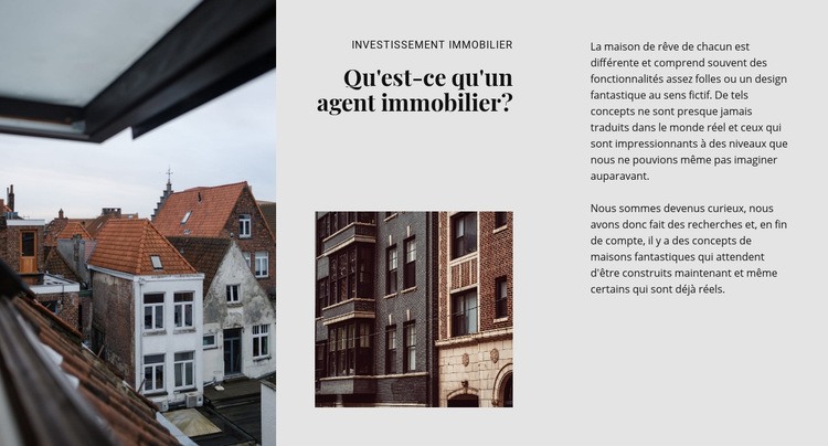 Agence immobilière de luxe Maquette de site Web