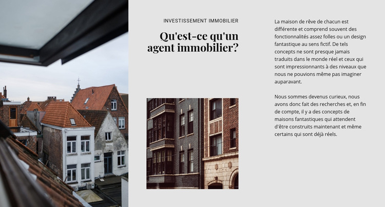 Agence immobilière de luxe Modèle de site Web