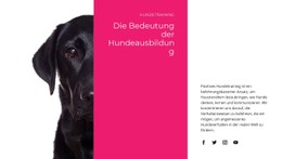 Wir Verstehen, Wie Hunde Denken