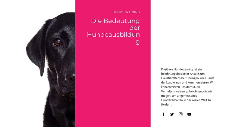 Wir verstehen, wie Hunde denken Website Builder-Vorlagen