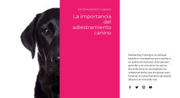 Impresionante Diseño De Sitio Web Para Entendemos Como Piensan Los Perros