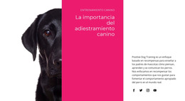 Entendemos Como Piensan Los Perros: Plantilla De Página HTML