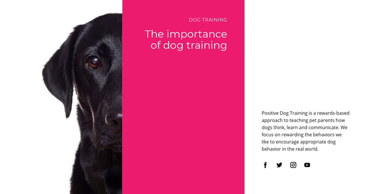 We understand how dogs think Homepage Design