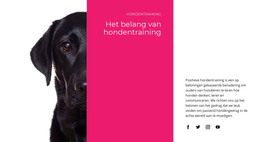 We Begrijpen Hoe Honden Denken - Website-Ontwerp