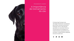 Nós Entendemos Como Os Cães Pensam - Modelo De Página HTML