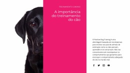 Modelo Exclusivo De Uma Página Para Nós Entendemos Como Os Cães Pensam