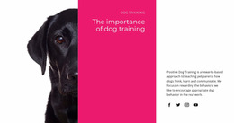 Multipurpose Website Mockup For We Understand How Dogs Think