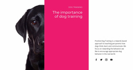 We Understand How Dogs Think - Website Template