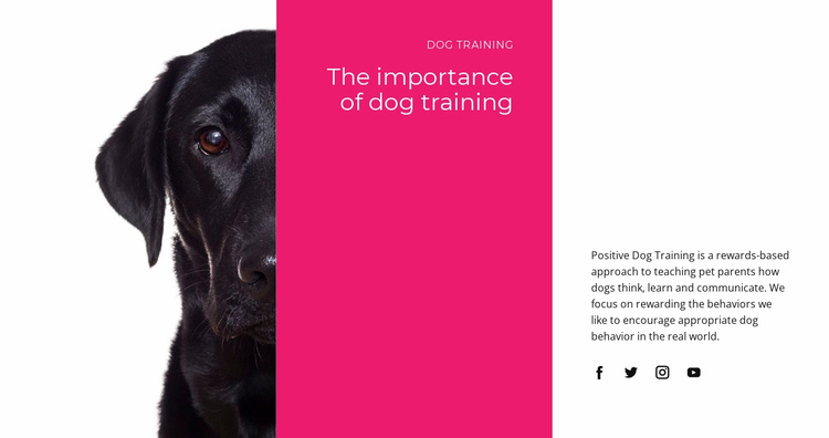 We understand how dogs think Website Template