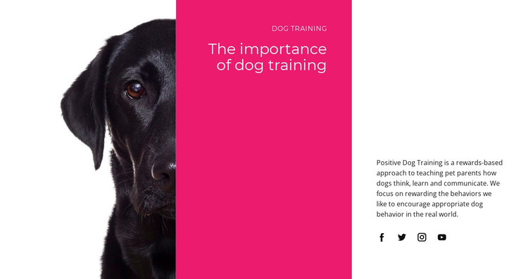 We understand how dogs think WordPress Theme