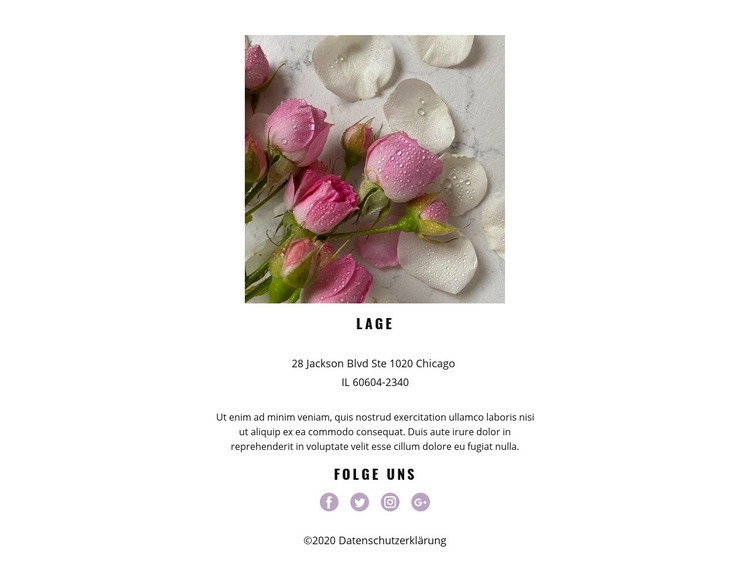 Kontakt zum Blumenstudio Eine Seitenvorlage