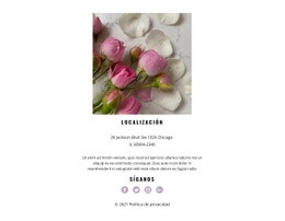 Contacto Flores Studio - Plantilla HTML